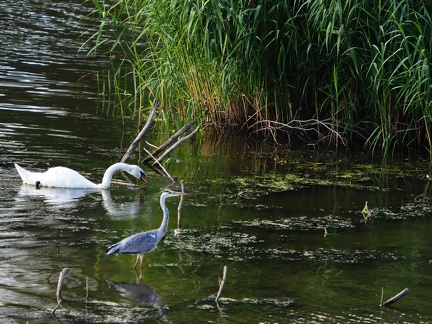 Causette au bord de l'eau