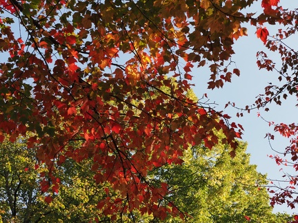 Couleurs d'automne