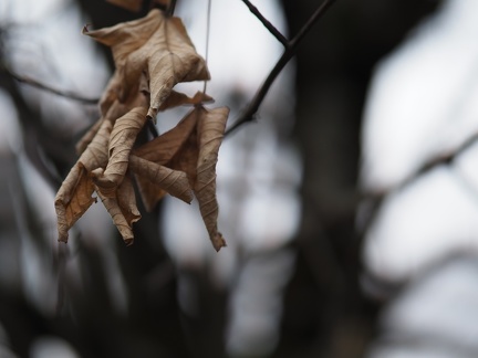 Hiver