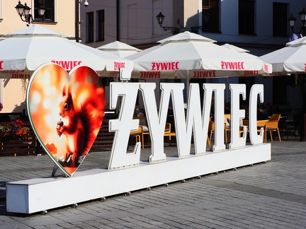 Rynek Zywiec