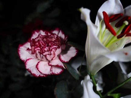 Bouquet de fleurs