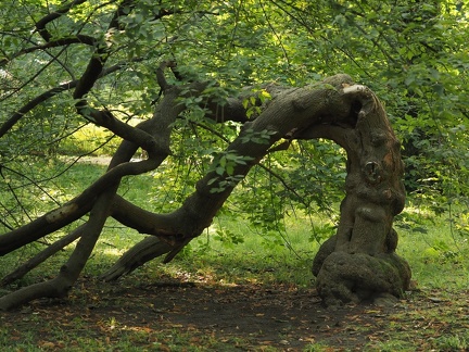 Parc de Zywiec