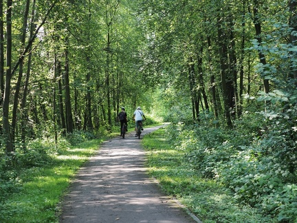 Piste cyclable le long de la rivière Koszarawa