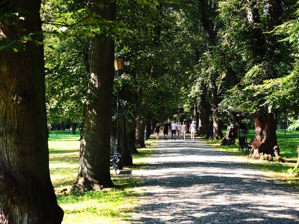 Zywiec - allée principale du parc