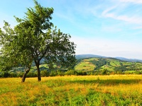 Paysage