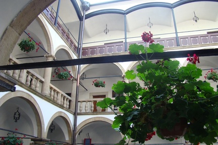 Zywiec cours du vieux château