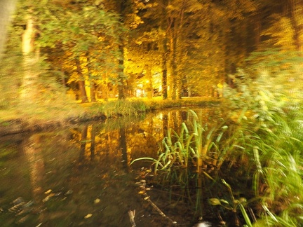 Dans le Park 