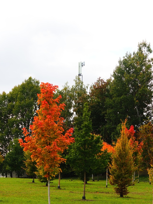 PA050012.JPG