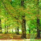 Automne à Zywiec 