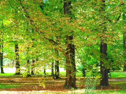 Automne à Zywiec 