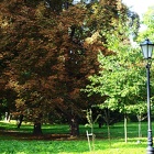 Automne à Zywiec 