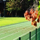 Automne à Zywiec 