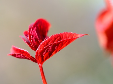 P3150130